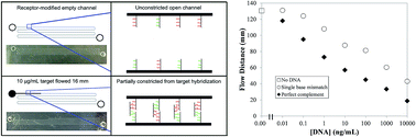 Graphical abstract: Microfluidic devices for label-free and non-instrumented quantitation of unamplified nucleic acids by flow distance measurement