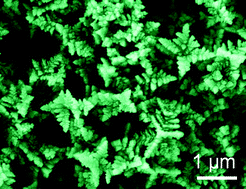 Graphical abstract: Surfactant-free synthesis of SrTiO3 hierarchical structures in ethanol/water mixed solvent at room temperature