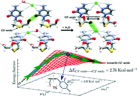 Graphical abstract: Isostructurality and the conformational role of the 2′,3′-moieties in the diversity of lamivudine crystal forms probed in halide salts