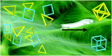 Graphical abstract: Molecular containers assembled through the hydrophobic effect