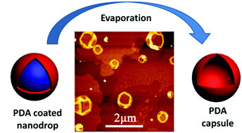 Graphical abstract: Preparation of polydopamine nanocapsules in a miscible tetrahydrofuran–buffer mixture