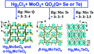 Graphical abstract: A series of novel mercury(i) selenites and tellurites containing SOJT Mo6+ cations