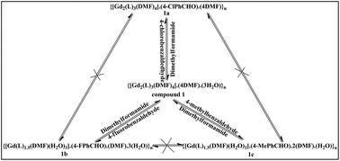 Graphical abstract: Guest dependent reversible single-crystal to single-crystal structural transformation in a flexible Gd(iii)-coordination polymer