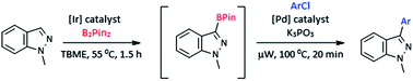 Graphical abstract: Synthesis of 3-aryl-1H-indazoles via iridium-catalysed C–H borylation and Suzuki–Miyaura coupling