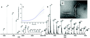 Graphical abstract: Early stages of insulin fibrillogenesis examined with ion mobility mass spectrometry and molecular modelling