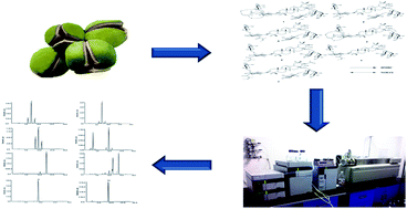 Graphical abstract: Characterization and simultaneous quantification of seven triterpenoid saponins in different parts of Xanthoceras sorbifolia Bunge by HPLC-ESI-TOF