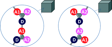 Graphical abstract: H-bond competition experiments in solution and the solid state