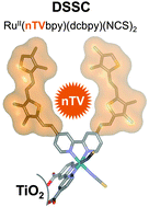 Graphical abstract: Heteroleptic Ru(ii)-bipyridine complexes based on hexylthioether-, hexyloxy- and hexyl-substituted thienylenevinylenes and their application in dye-sensitized solar cells