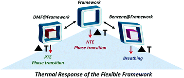 Graphical abstract: The guest-dependent thermal response of the flexible MOF Zn2(BDC)2(DABCO)