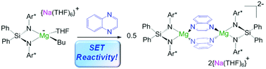 Graphical abstract: Assessing the reactivity of sodium alkyl-magnesiates towards quinoxaline: single electron transfer (SET) vs. nucleophilic alkylation processes