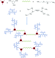 Graphical abstract: Dynamic constitutional frameworks (DCFs) as nanovectors for cellular delivery of DNA