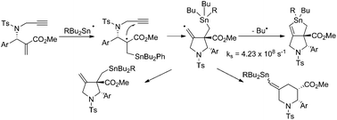 Graphical abstract: A mechanistic study on the SHi reaction at tin atoms in a radical cascade reaction