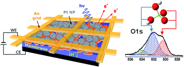 Graphical abstract: In situ investigation of dissociation and migration phenomena at the Pt/electrolyte interface of an electrochemical cell