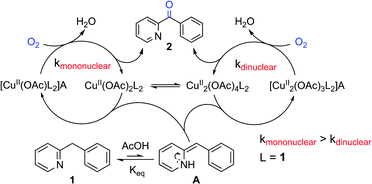 Graphical abstract: Mechanism of the CuII-catalyzed benzylic oxygenation of (aryl)(heteroaryl)methanes with oxygen