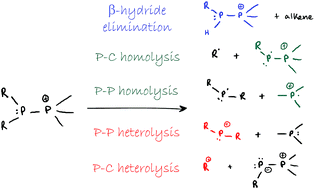 Graphical abstract: Bond fission in monocationic frameworks: diverse fragmentation pathways for phosphinophosphonium cations