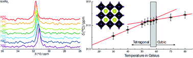 Graphical abstract: A combined single crystal neutron/X-ray diffraction and solid-state nuclear magnetic resonance study of the hybrid perovskites CH3NH3PbX3 (X = I, Br and Cl)