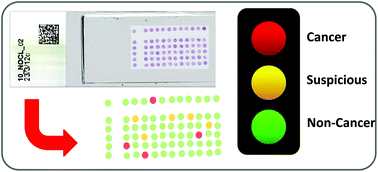 Graphical abstract: Infrared spectral histopathology using haematoxylin and eosin (H&E) stained glass slides: a major step forward towards clinical translation