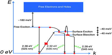 Graphical abstract: Dominant factors limiting the optical gain in layered two-dimensional halide perovskite thin films