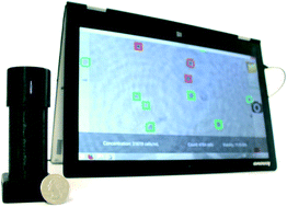 Graphical abstract: Rapid, portable and cost-effective yeast cell viability and concentration analysis using lensfree on-chip microscopy and machine learning