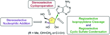 Graphical abstract: Stereo- and regio-selective synthesis of 3′-C-substituted-(N)-methanocarba adenosines as potential anticancer agents