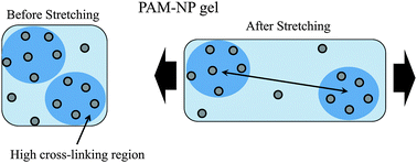 Graphical abstract: Probe-SAXS on hydrogels under elongation