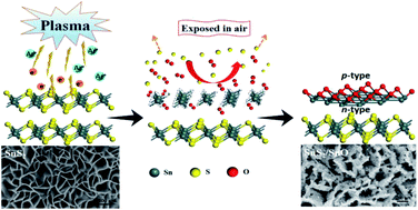 Graphical abstract: p-Type SnO thin layers on n-type SnS2 nanosheets with enriched surface defects and embedded charge transfer for lithium ion batteries