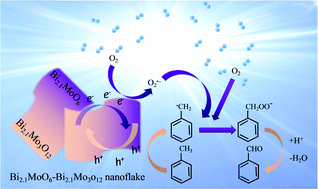 Graphical abstract: The first synthesis of Bi self-doped Bi2MoO6–Bi2Mo3O12 composites and their excellent photocatalytic performance for selective oxidation of aromatic alkanes under visible light irradiation