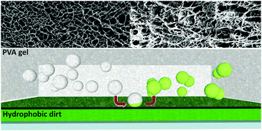 Graphical abstract: Surface cleaning of artworks: structure and dynamics of nanostructured fluids confined in polymeric hydrogel networks