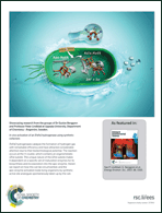 Graphical abstract: Back cover