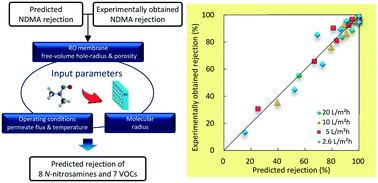 Graphical abstract: Emerging investigators series: a steric pore-flow model to predict the transport of small and uncharged solutes through a reverse osmosis membrane