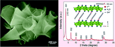 Graphical abstract: Layered rare-earth hydroxide nanocones with facile host composition modification and anion-exchange feature: topotactic transformation into oxide nanocones for upconversion