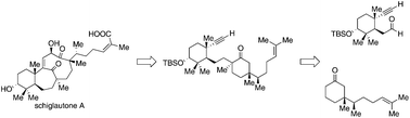 Graphical abstract: Strategy towards the enantioselective synthesis of schiglautone A