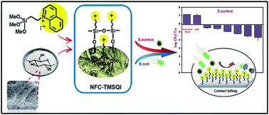 Graphical abstract: Synthesis, characterization and antibacterial evaluation of nanofibrillated cellulose grafted by a novel quinolinium silane salt