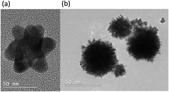 Graphical abstract: The use of dual reductants in gold nanoparticle syntheses
