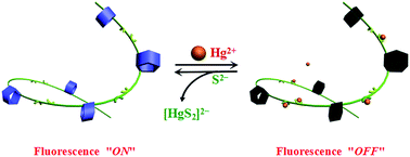 Graphical abstract: Pillar[5]arene-based fluorescent polymer for selective detection and removal of mercury ions