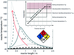 Graphical abstract: Safety assessment in development and operation of modular continuous-flow processes