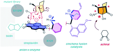 Graphical abstract: Anion–π catalysis: bicyclic products with four contiguous stereogenic centers from otherwise elusive diastereospecific domino reactions on π-acidic surfaces