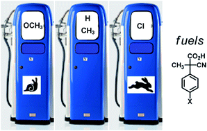 Graphical abstract: Variations in the fuel structure control the rate of the back and forth motions of a chemically fuelled molecular switch