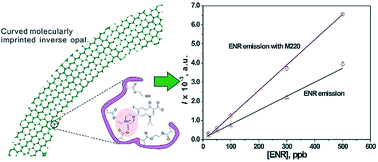 Graphical abstract: Enhanced fluorescence detection of enrofloxacin with curved-surface responsive inverse opal polymers and molecular imprinting