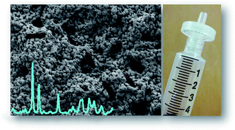 Graphical abstract: On the origin of electrochemical surface-enhanced Raman spectroscopy (EC-SERS) signals for bacterial samples: the importance of filtered control studies in the development of new bacterial screening platforms