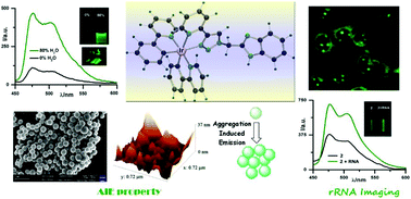 Graphical abstract: A cationic organoiridium(iii) complex-based AIEgen for selective light-up detection of rRNA and nucleolar staining