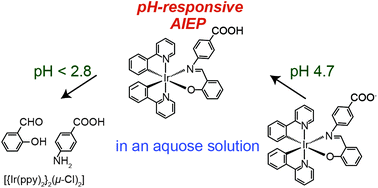 Graphical abstract: A water-soluble cyclometalated iridium(iii) complex for pH sensing based on aggregation-induced enhanced phosphorescence