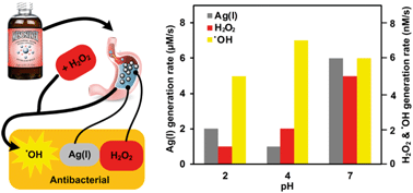 Graphical abstract: In vitro characterization of reactive oxygen species (ROS) generation by the commercially available Mesosilver™ dietary supplement