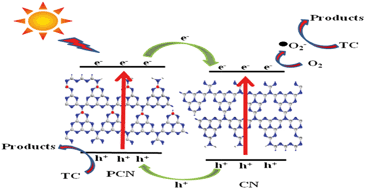 Graphical abstract: A facile band alignment of polymeric carbon nitride isotype heterojunctions for enhanced photocatalytic tetracycline degradation