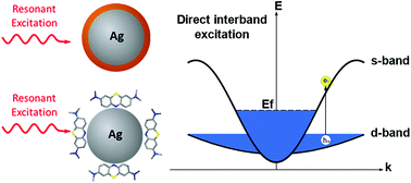 Graphical abstract: Unearthing the factors governing site specific rates of electronic excitations in multicomponent plasmonic systems and catalysts