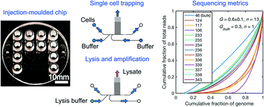 Graphical abstract: Sequencing of human genomes extracted from single cancer cells isolated in a valveless microfluidic device