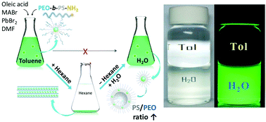 Graphical abstract: A detour strategy for colloidally stable block-copolymer grafted MAPbBr3 quantum dots in water with long photoluminescence lifetime