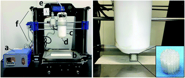 Graphical abstract: Enhancement in sustained release of antimicrobial peptide and BMP-2 from degradable three dimensional-printed PLGA scaffold for bone regeneration