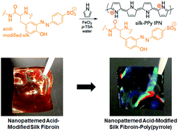 Graphical abstract: Conductive silk–polypyrrole composite scaffolds with bioinspired nanotopographic cues for cardiac tissue engineering