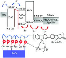 Graphical abstract: Interface dipole for remarkable efficiency enhancement in all-solution-processable transparent inverted quantum dot light-emitting diodes